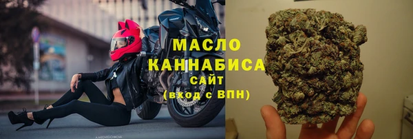 индика Елизово