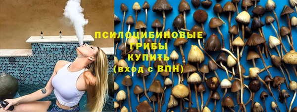 эйфоретик Алексеевка