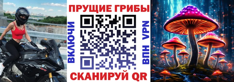 мега сайт  Борзя  Галлюциногенные грибы MAGIC MUSHROOMS  купить наркотики цена 